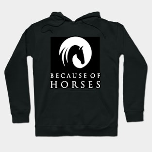 Because of Horses logo (black) Hoodie